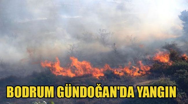 BODRUM GÜNDOĞAN'DA YANGIN