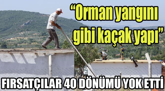 FIRSATÇILAR 40 DÖNÜMÜ YOK ETTİ