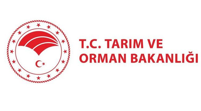 4 bin 996 sözleşmeli personel alınacak