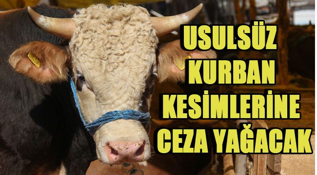 BUCA'DA USULSÜZ KURBAN KESİMLERİNE CEZA YAĞACAK