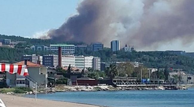 Çanakkale’de yangın! Alevler hastaneye yaklaştı