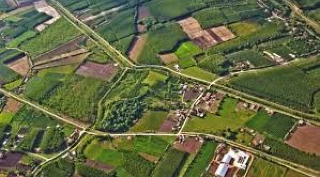 HAZİNE'YE AİT TARIM ARAZİLERİNİN SATIŞINA DÜZENLEME