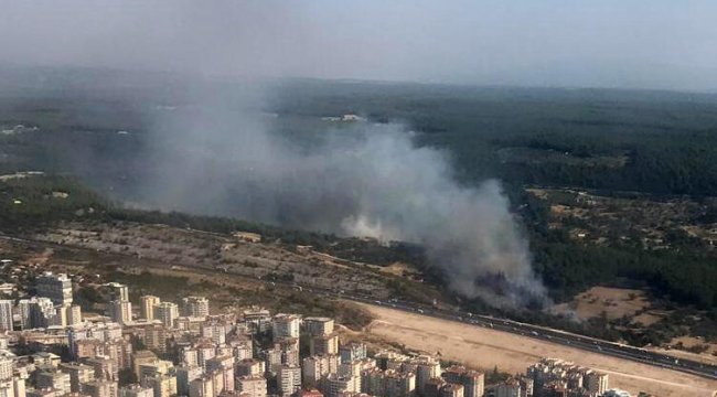 İZMİR'DE SAMAN YÜKLÜ KAMYON DEVRİLDİ! ORMAN YANGINI ÇIKTI…