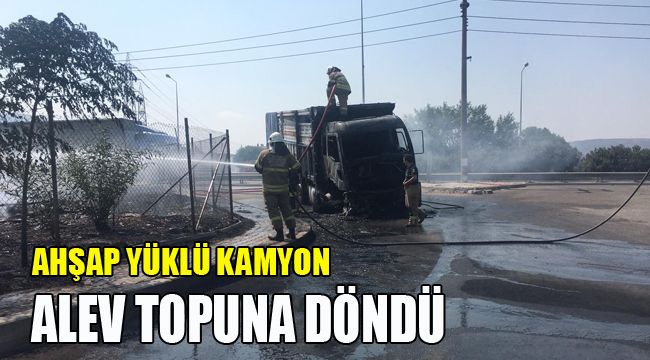 KAMYON ALEV TOPUNA DÖNDÜ