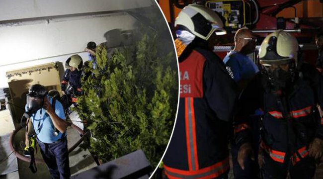 Saunada yangın paniği