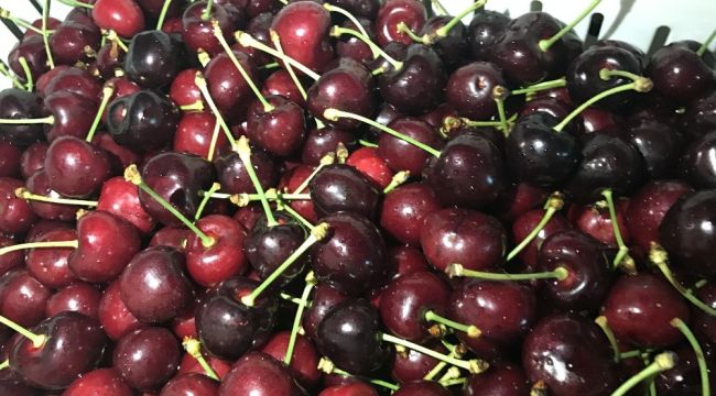 TAZE KİRAZ, ÜZÜM VE NAR İHRACATÇILARI YENİ İHRACAT REKORLARI İÇİN KÜMELENİYOR