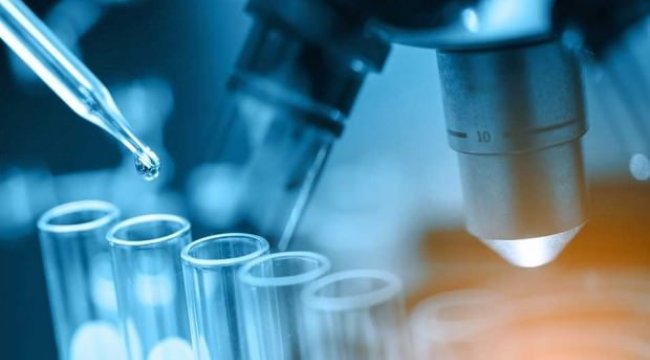 Türk bilim insanları 4 ölümcül virüs buldu!