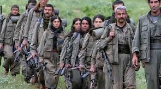 3 yılda 2052 ihbar
