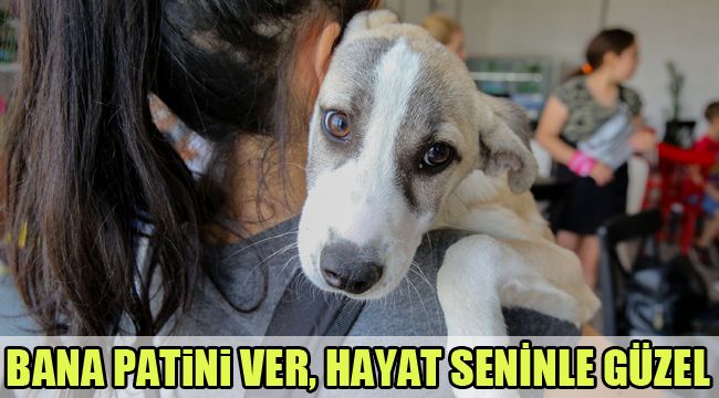 BANA PATiNi VER, HAYAT SENİNLE GÜZEL