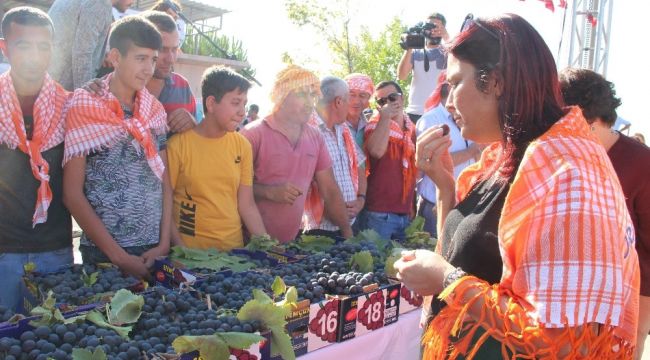"ENFES" ÜZÜME ENFES FESTİVAL
