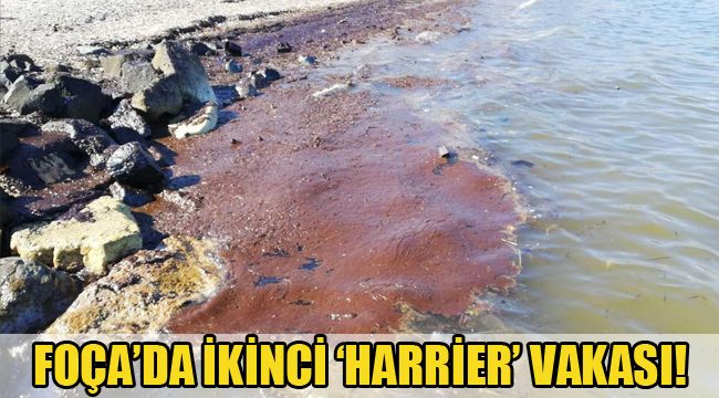 FOÇA'DA İKİNCİ 'HARRİER' VAKASI!