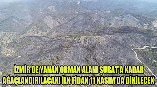 İZMİR'DE YANAN ORMAN ALANI ŞUBAT'A KADAR AĞAÇLANDIRILACAK! İLK FİDAN 11 KASIM'DA DİKİLECEK