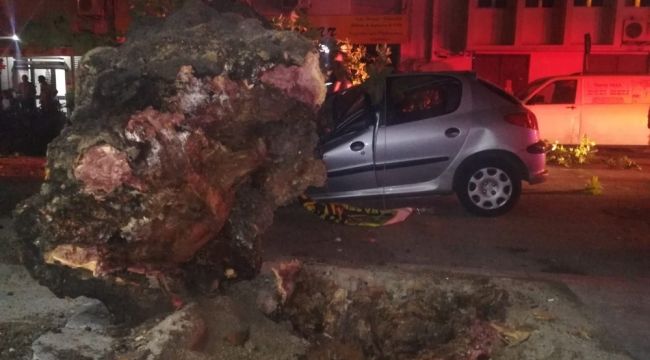 İZMİR'DE 3 OTOMOBİLİN ÜZERİNE AĞAÇ DEVRİLDİ