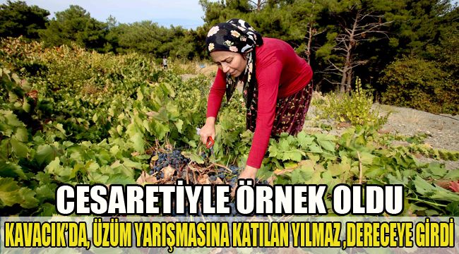 KAVACIK’DA, ÜZÜM YARIŞMASINA KATILAN YILMAZ DERECEYE GİRDİ. CESARETİYLE ÖRNEK OLDU