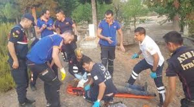 Mezarlıktan gelen seslerin nedeni belli oldu