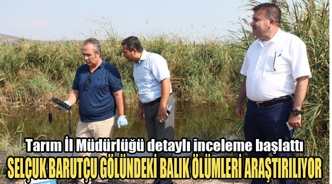 SELÇUK BARUTÇU GÖLÜNDEKİ BALIK ÖLÜMLERİ ARAŞTIRILIYOR