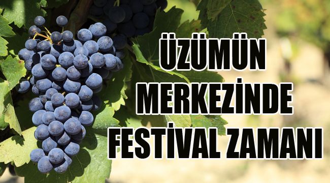 ÜZÜMÜN MERKEZİNDE FESTİVAL ZAMANI