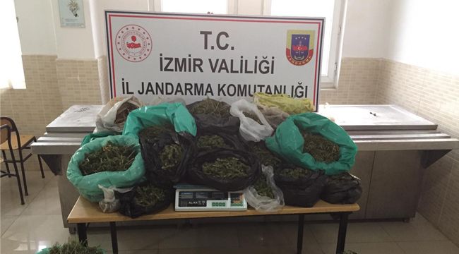 17 KİLO ESRAR VE 696 KÖK KENEVİR ELE GEÇİRİLDİ