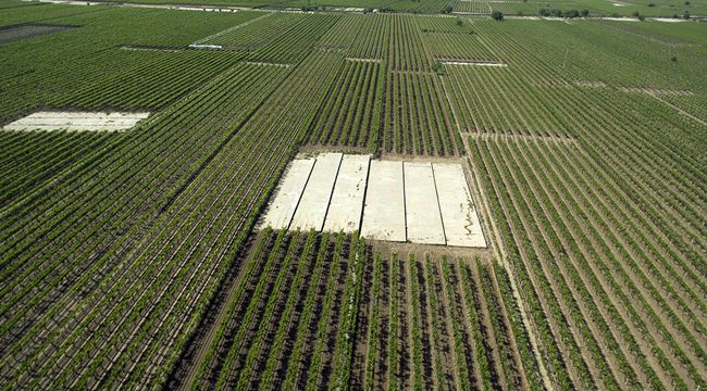ALAŞEHİR OVASINI COŞTURACAK PROJE