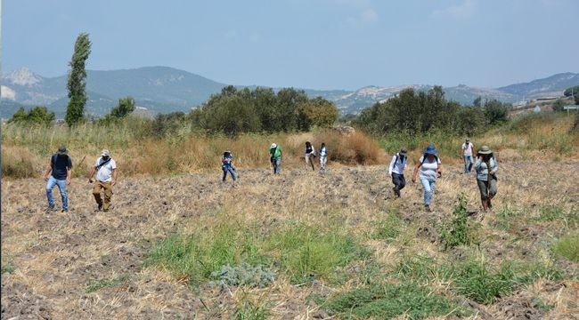 APOLLON GÜN YÜZÜNE ÇIKIYOR