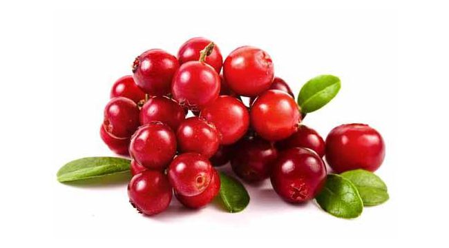 Bu meyve yağları eritip hücreleri yeniliyor