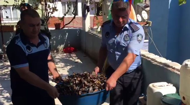 BUCA’DA ŞOK EDEN MİDYE OPERASYONU