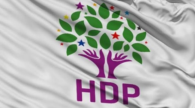 HDP eski İl Başkanı, PKK'lılarla işbirliğinden tutuklandı