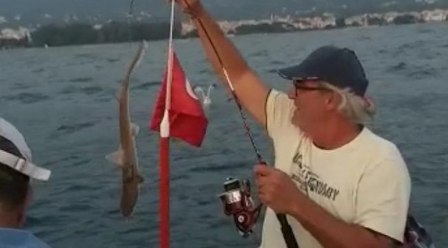 İzmir'de art arda köpek balığı heyecanı