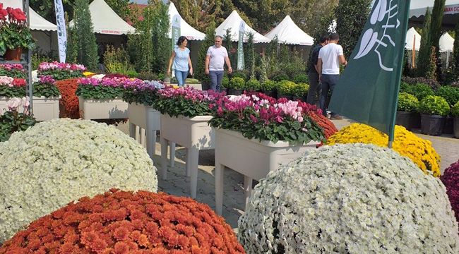 ÖDEMİŞ'İN HAYALİ BİTKİ BORSASI