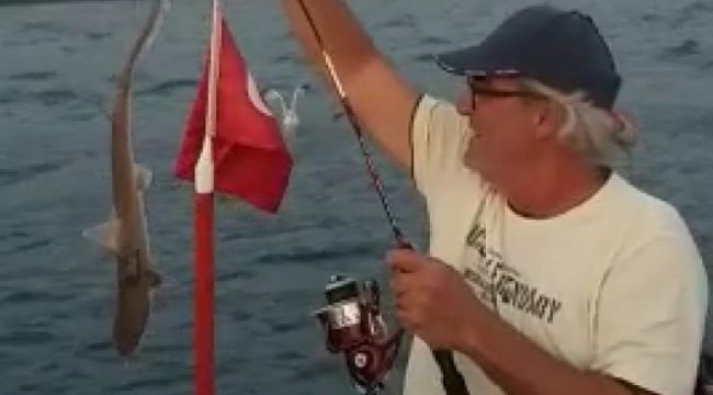 OLTAYA KÖPEK BALIĞI TAKILDI
