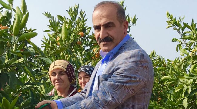 REKOLTE DÜŞÜK, KALİTE İYİ