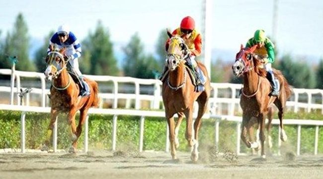 4 liralık kuponla 422 bin lira kazandı