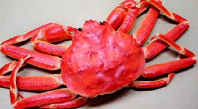 46 bin dolara satıldı