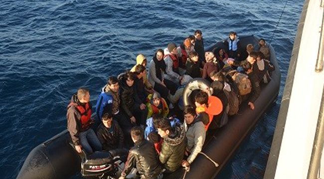72 KAÇAK GÖÇMEN YAKALANDI