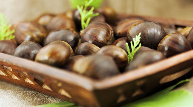 BU ÜRÜNLER AB KAPISINDA TESCİL İÇİN BEKLİYOR