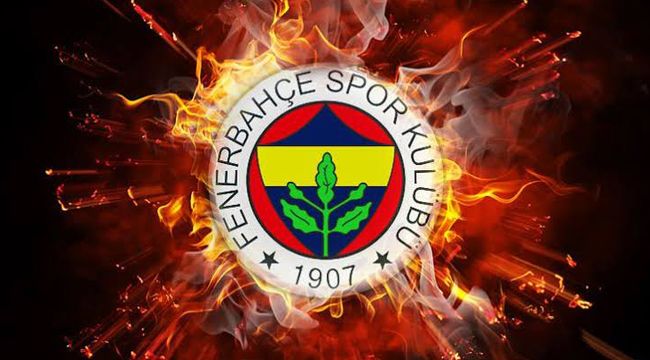 Fenerbahçe’de Nando De Colo’dan kötü haber!