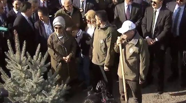 İLK FİDANI CUMHURBAŞKANI DİKTİ