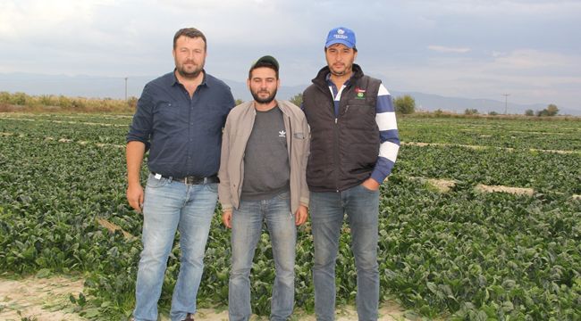 Ispanak tartışmalarına açıklama