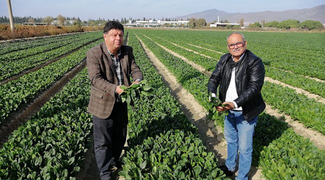 ZEHİR VAR MI? İŞTE AÇIKLAMA