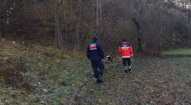 Kastamonu'da ceset parçaları bulundu