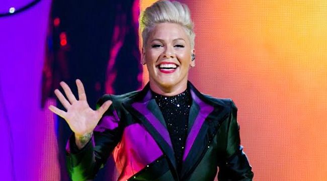 Pink müzik kariyerine ara veriyor