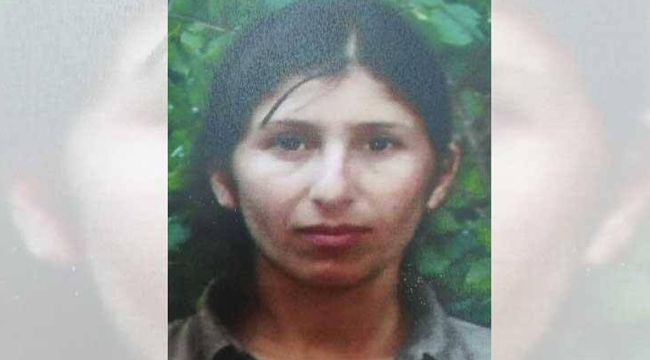 PKK'nın sözde 'Dersim eyaleti' konsey üyesi sağ yakalandı