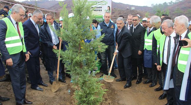 PKK'NIN YAKTIĞI ALAN AĞAÇLANDIRILIYOR
