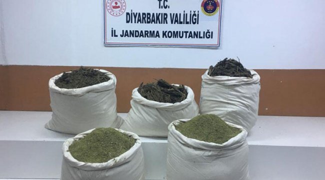 Saman çuvallarından 129 kilo esrar çıktı