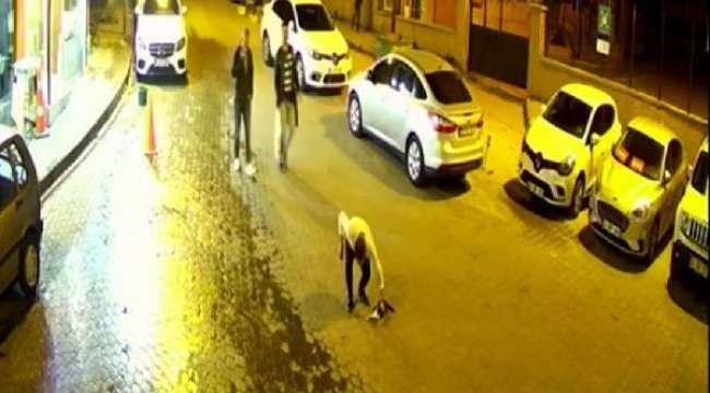 Soluk borusuna cisim kaçan kediyi hayata döndürdü