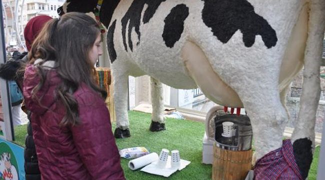 Akıllı inek aromalı süt veriyor
