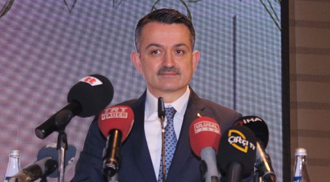 BAKAN PAKDEMİRLİ'DEN TAĞŞİŞ AÇIKLAMASI
