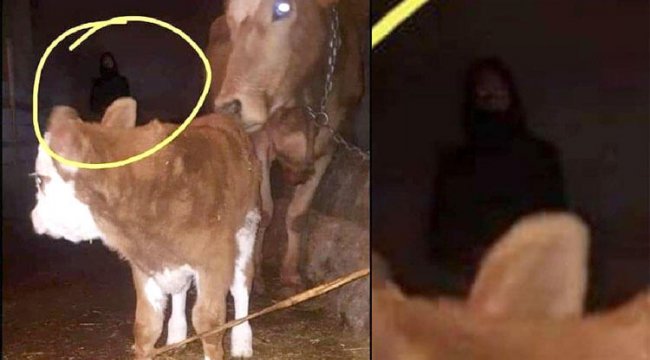 Fotoğrafa yansıyan siluet, tartışma konusu oldu