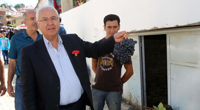 KAVACIK ÜZÜMÜ'NÜ DÜNYA TANIYACAK