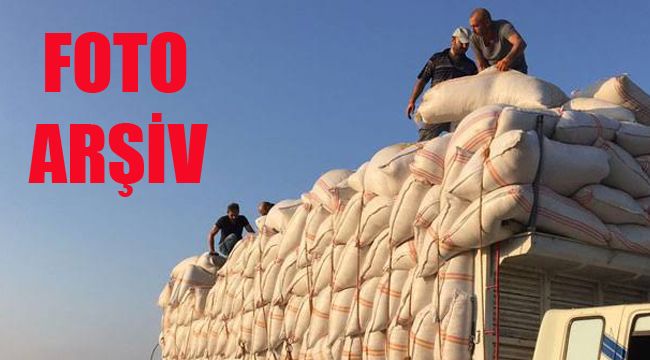 Kıran-5'de flaş baskın: 1 ton esrar yakalanarak imha edildi